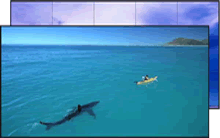 2019年，液晶拼接屏廠家如何贏來市場前景？